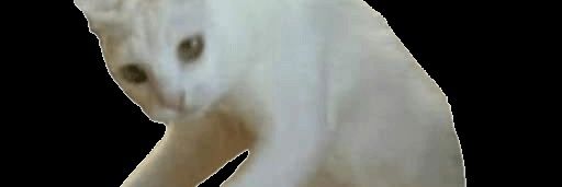CiroPecile's profile banner image