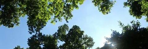 Marko Kovacevic banner