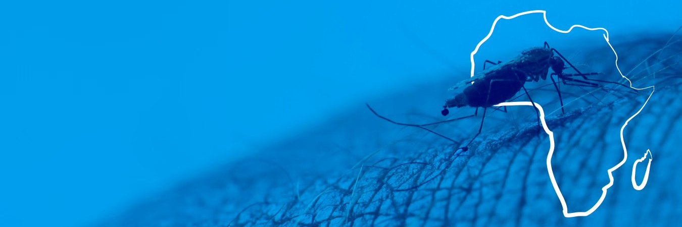 UP Institute for Sustainable Malaria Control banner