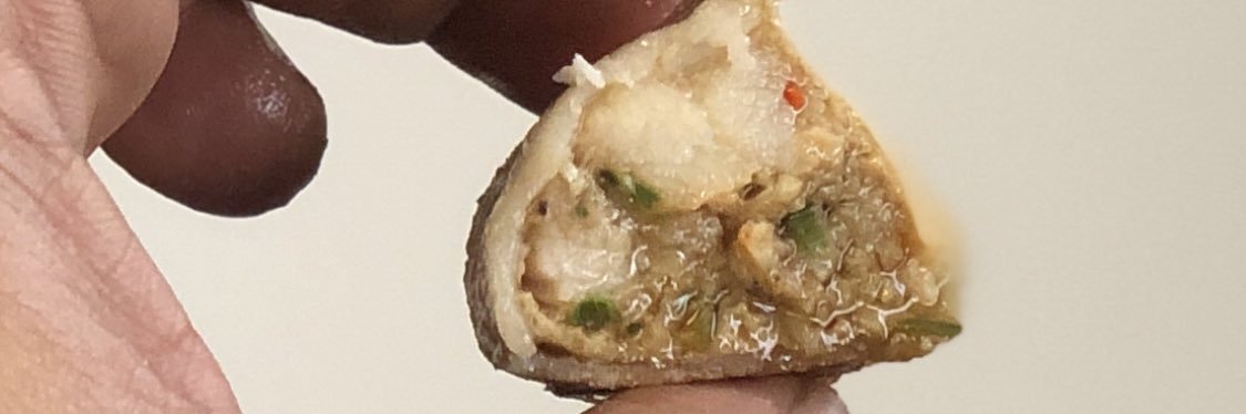 THE GYOZA GUYS ® banner