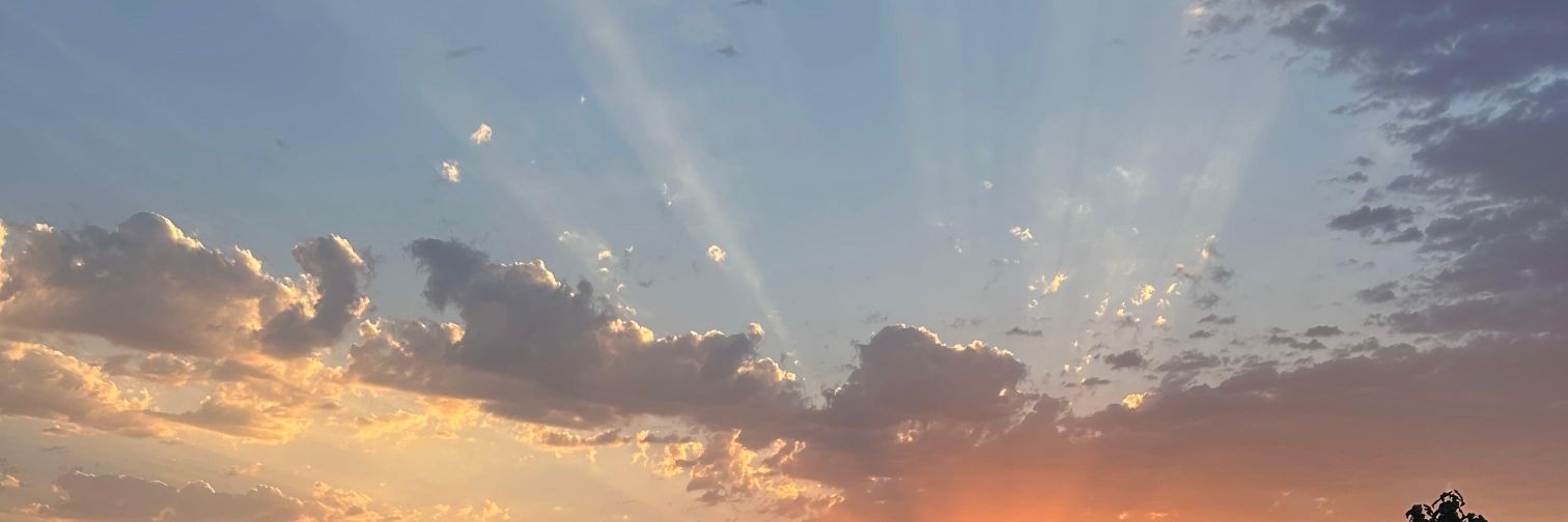 Kurnaz Süt Pınarı banner