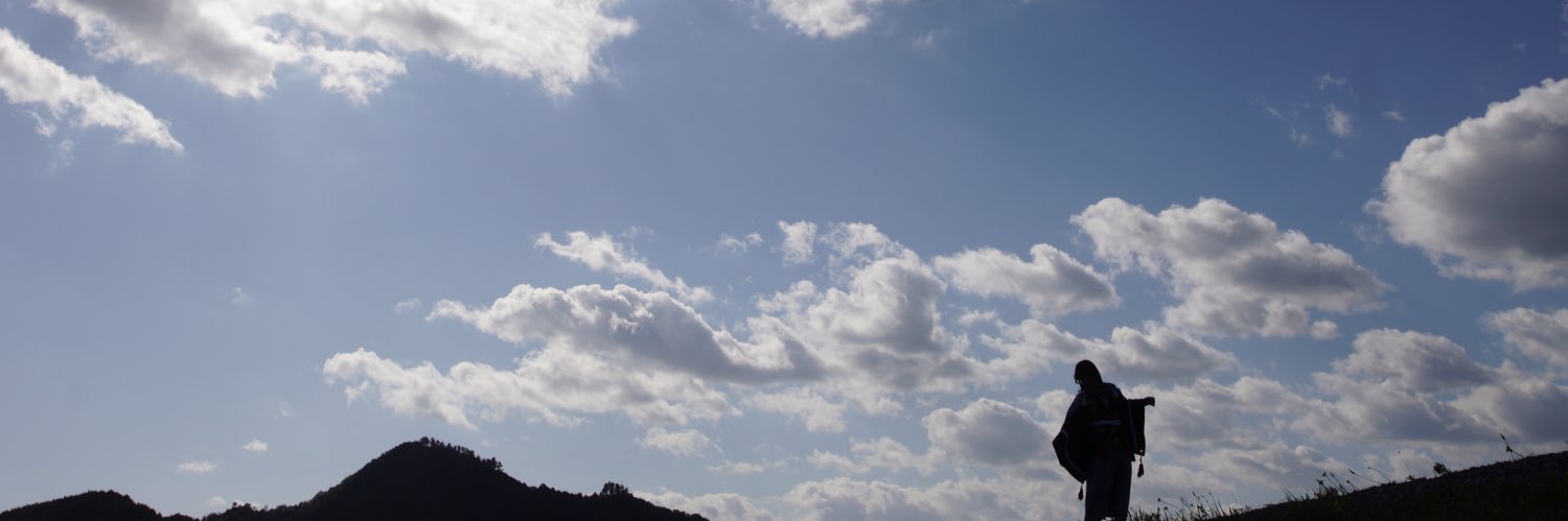 sainakari's profile banner image