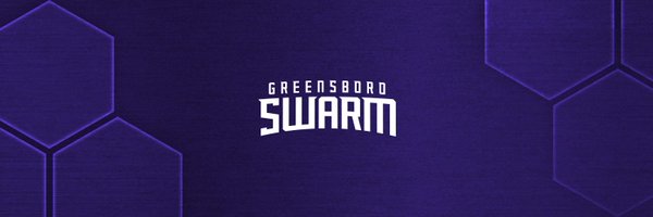 Greensboro Swarm Profile Banner