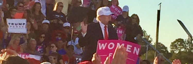 tweetlady 🐊🌞🌊🇺🇸 banner