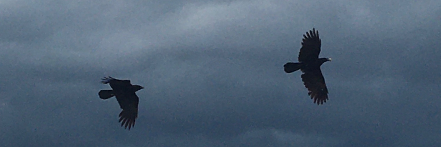 Murder of Crows banner