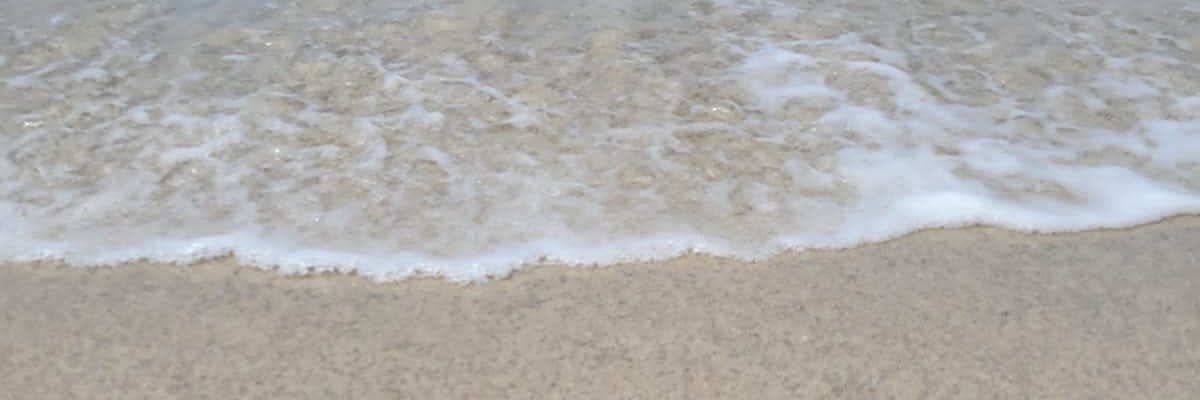 muffin321's profile banner image