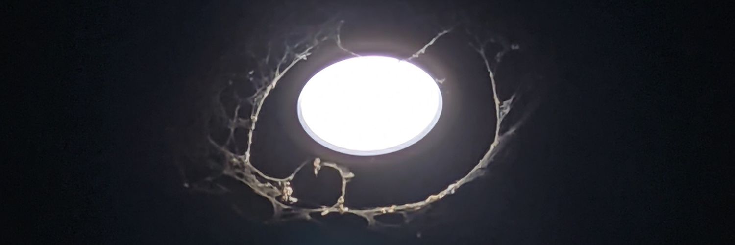 H___BiT's profile banner image