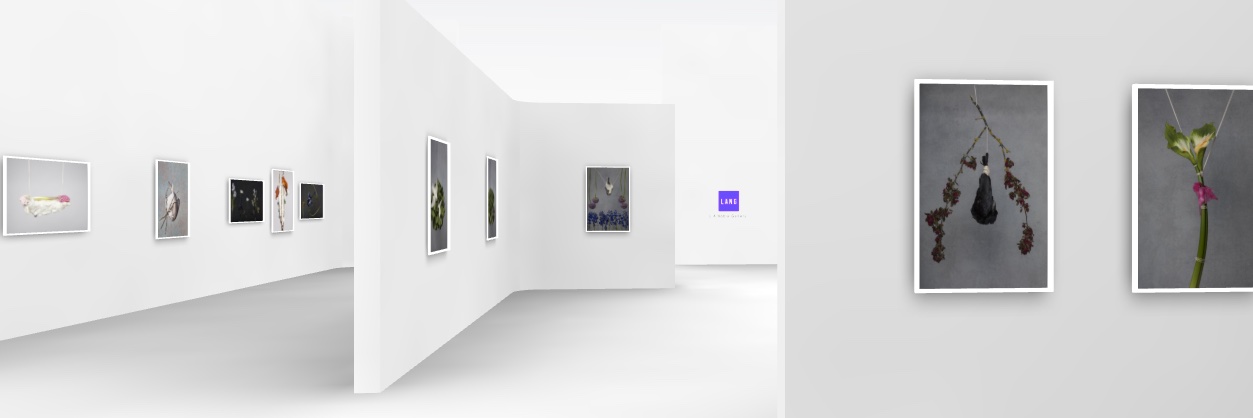 L A Noble Gallery banner