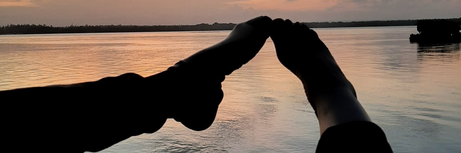 nits_dion's profile banner image