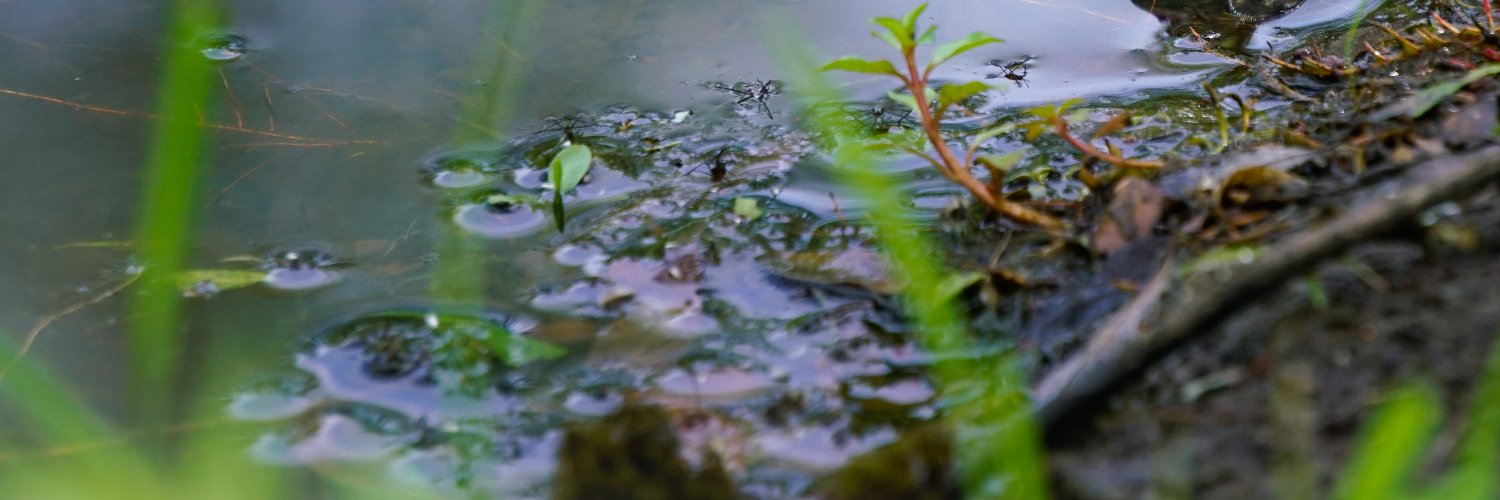 Croak | Inversión & Real Estate banner
