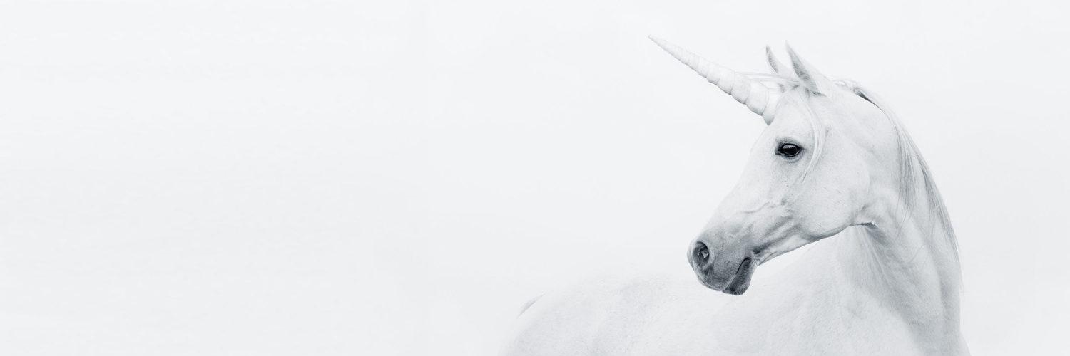 Jimmy B. 🐴🐾 banner