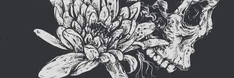 Izai_martens's profile banner image