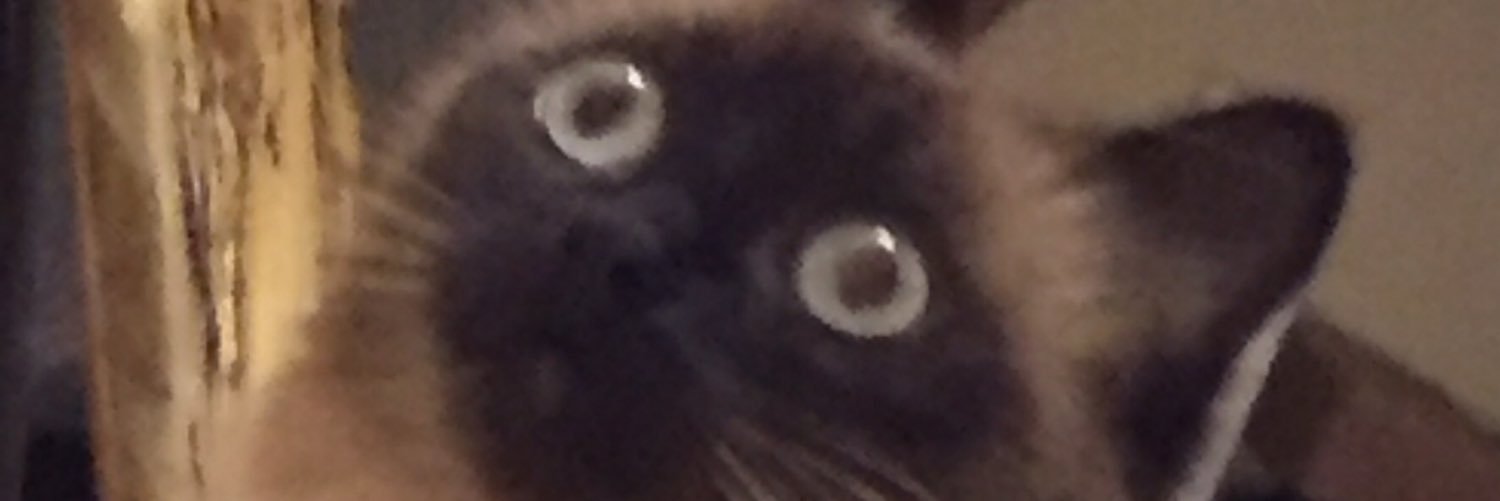 BessonSoubou's profile banner image
