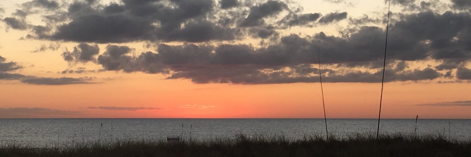 AmyBiondello's profile banner image