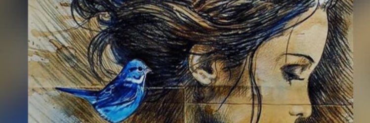qudsiyabhat's profile banner image