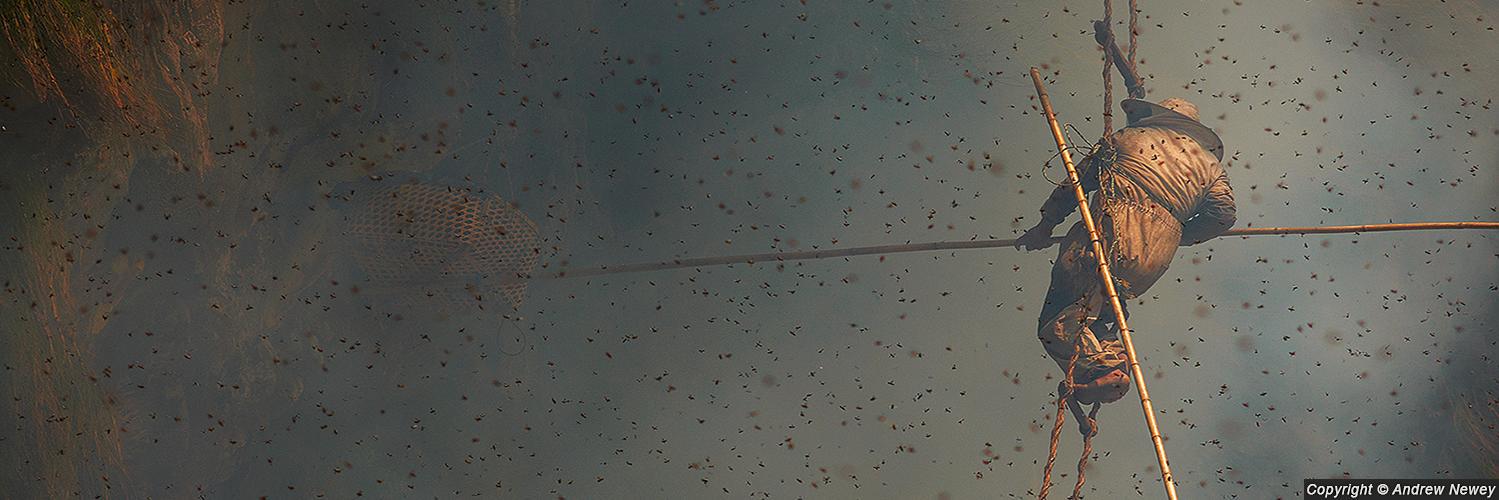 andrewnewey's profile banner image