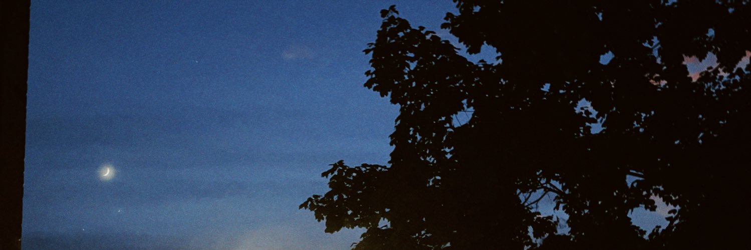 marissatess02's profile banner image