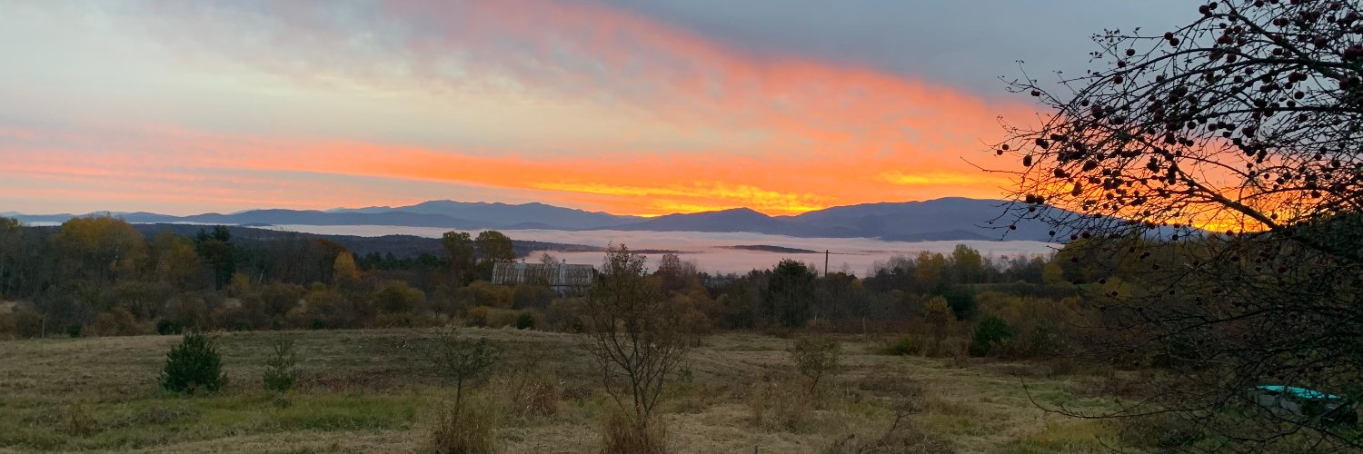 Edith Fogarty banner