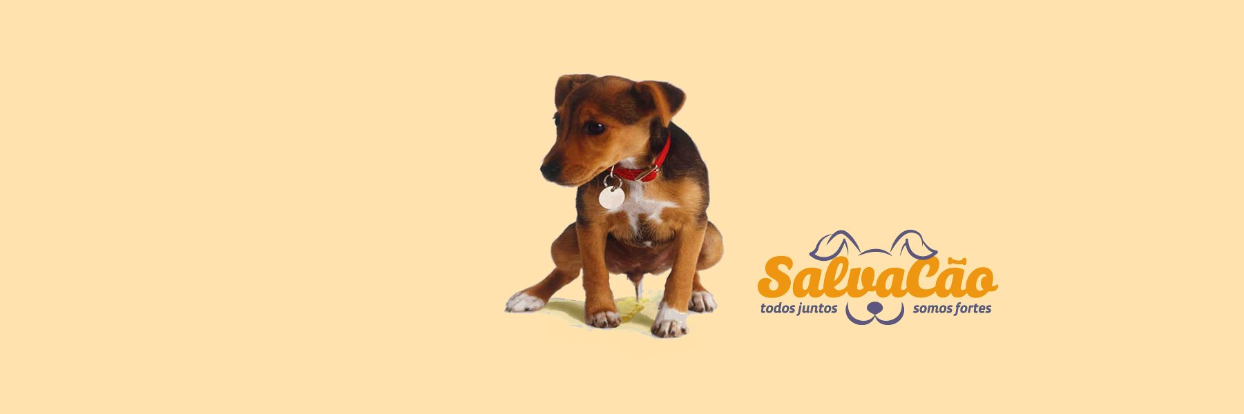 projSalvaCao's profile banner image