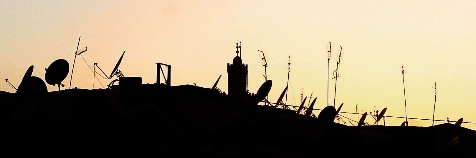 LauraDwlf's profile banner image