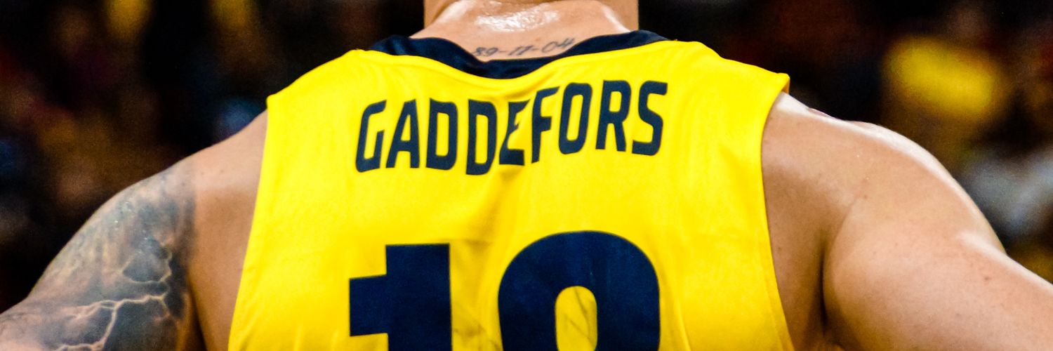 Viktor Gaddefors banner