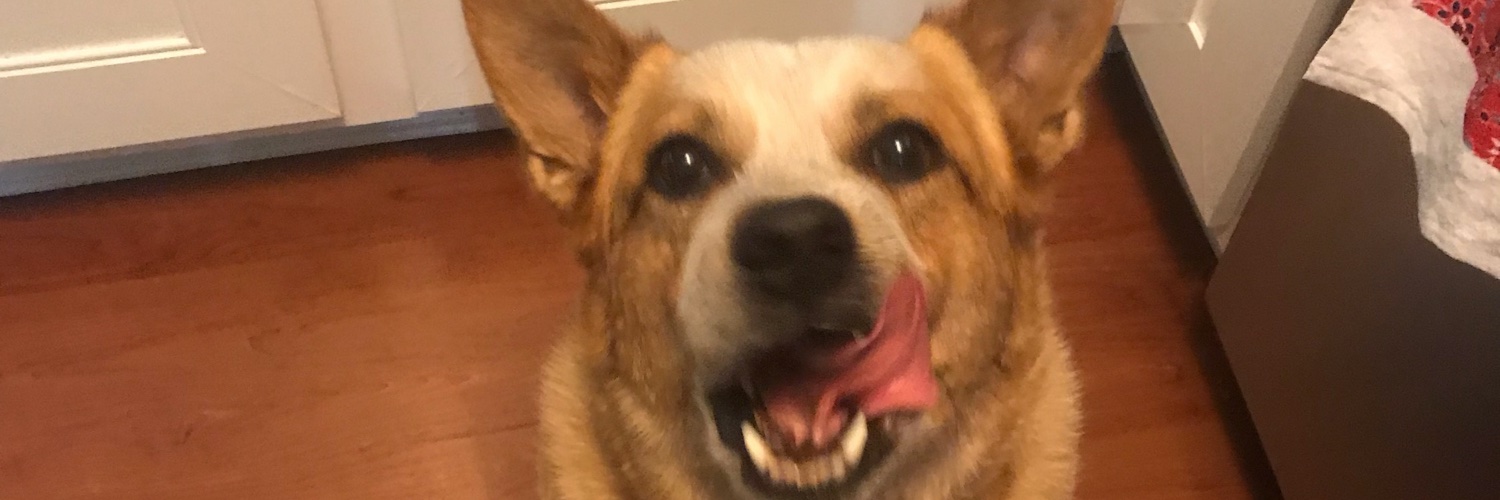 _Penny_S's profile banner image