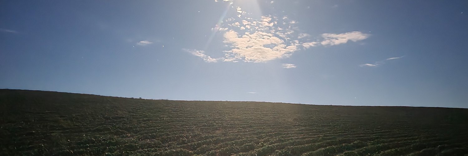 tigstig's profile banner image