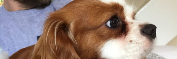 HelloWinter Profile Banner