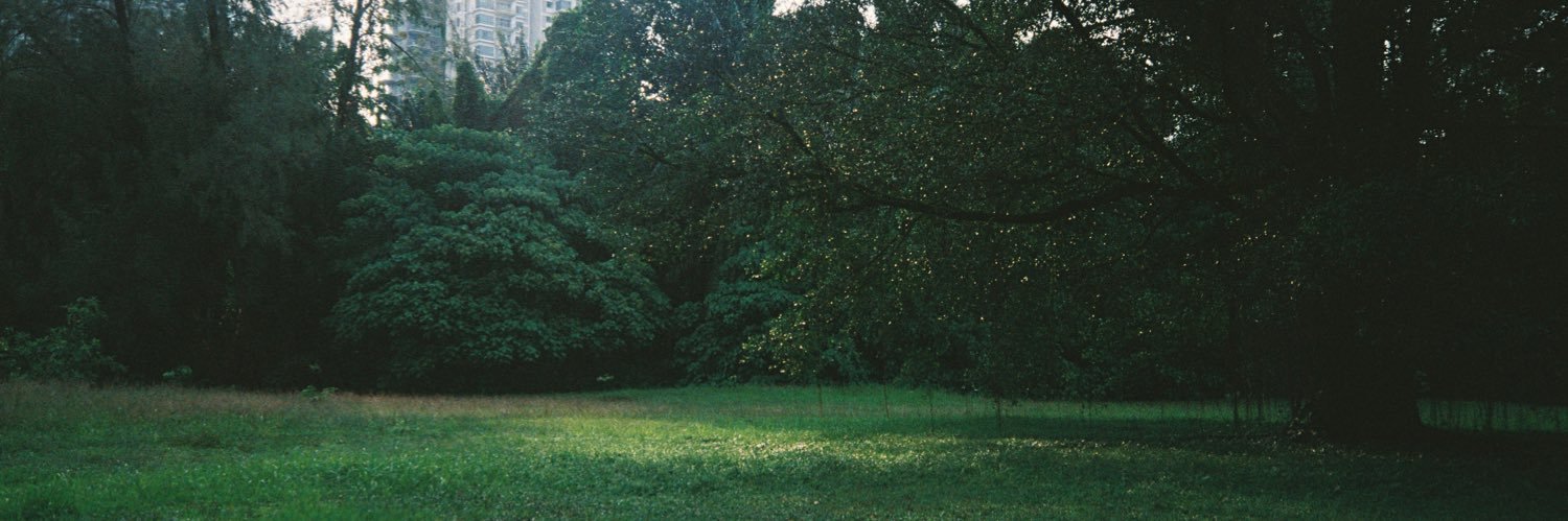 Shyntefen's profile banner image