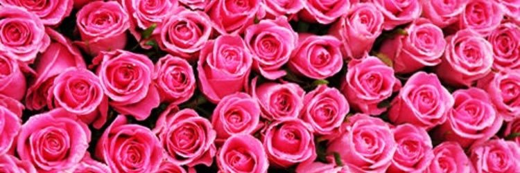 jennaaaa55's profile banner image