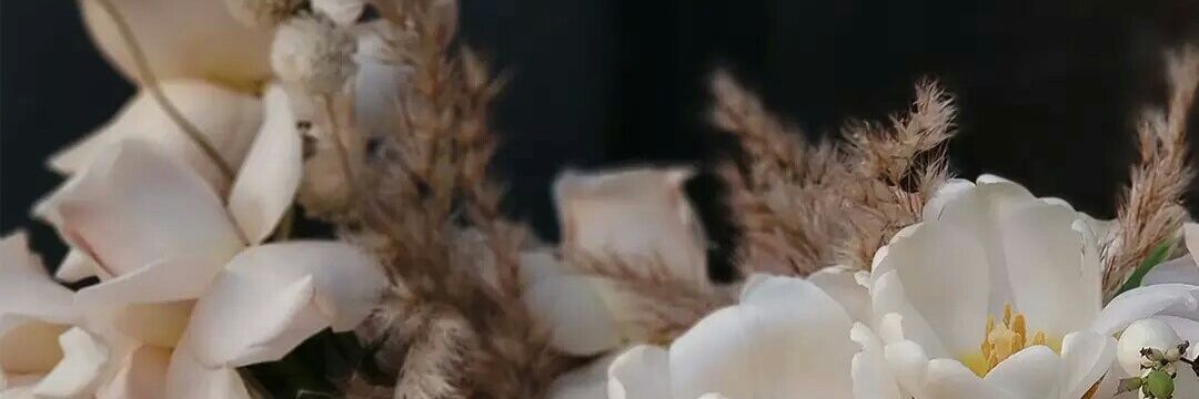 dianssarii's profile banner image