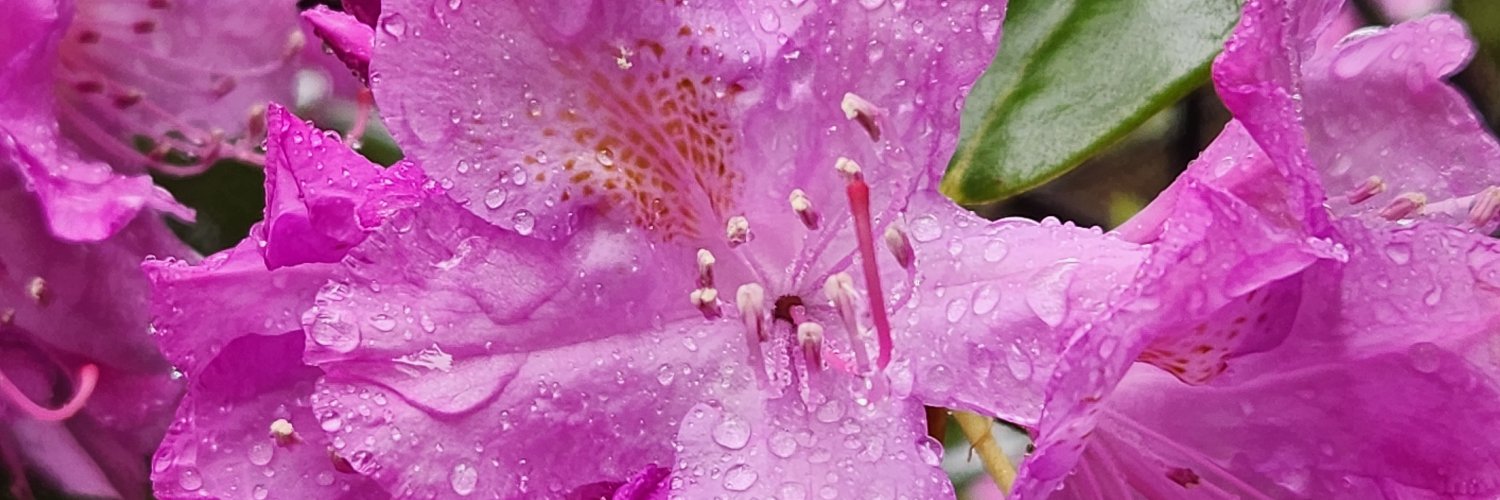 wvpublic's profile banner image