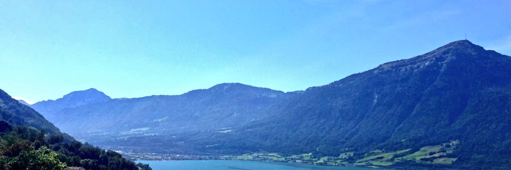 Stephanie Collard banner