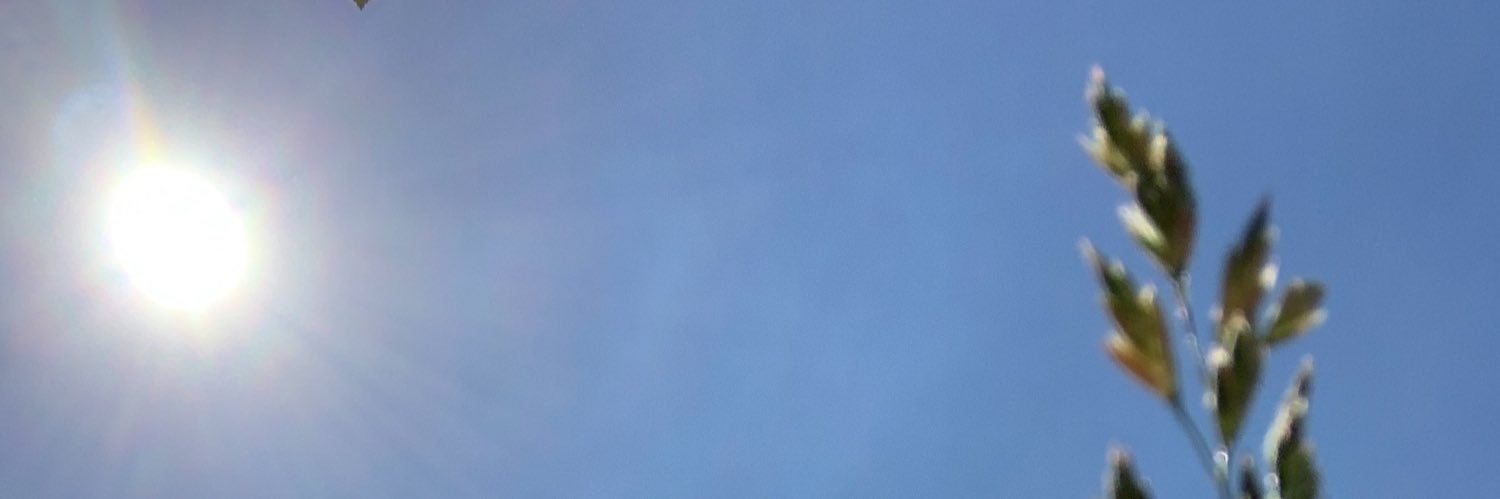 Emma_Lofty's profile banner image