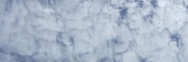 iceteeeeeeeeee's profile banner image