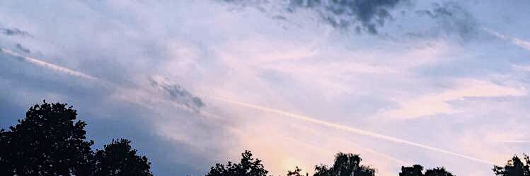 Maaikevloon's profile banner image