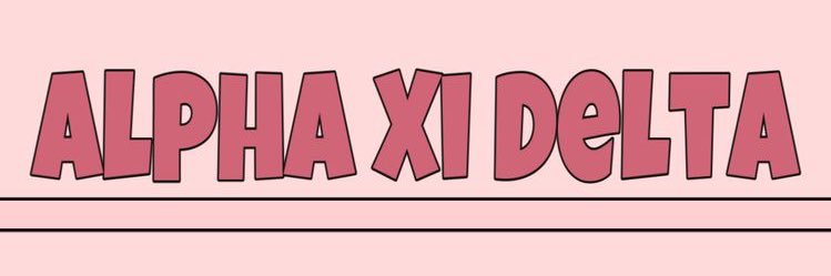 VCU Alpha Xi banner