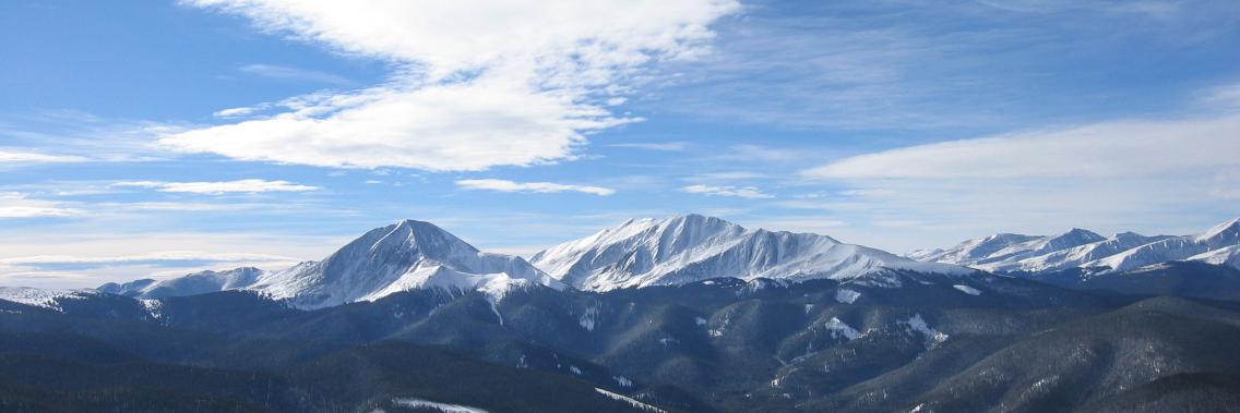Jenny Mladenovic banner