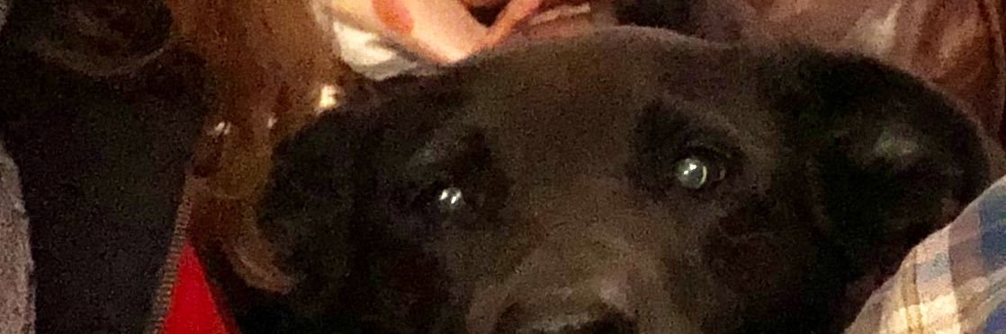 Maui ☠️🐿☠️ banner