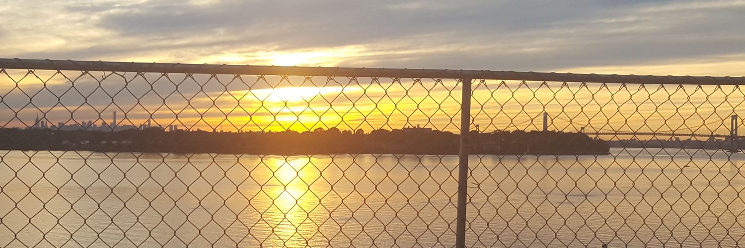 NiteFury1's profile banner image