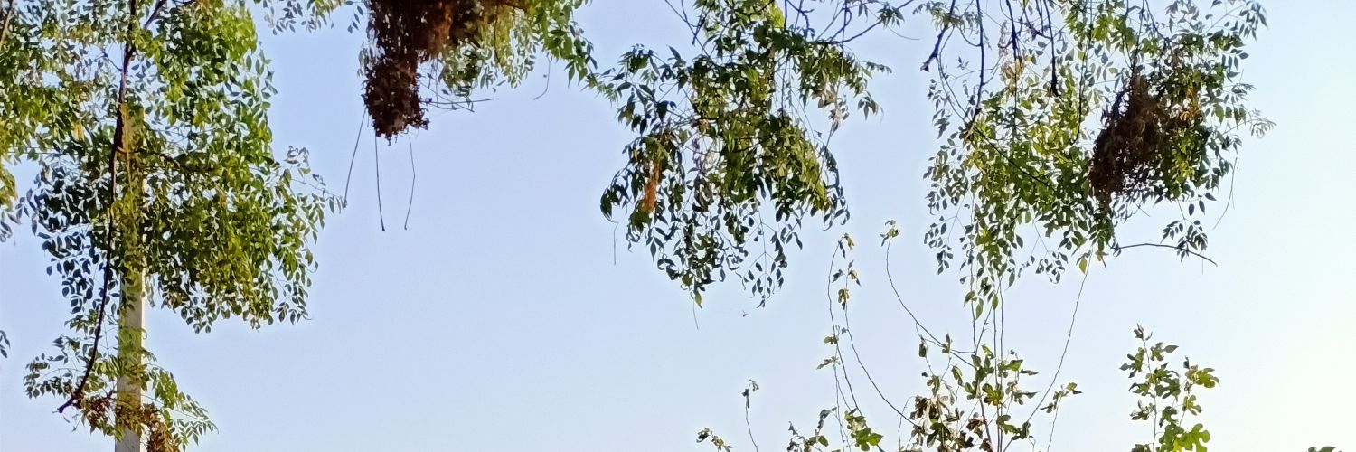 imktalps's profile banner image
