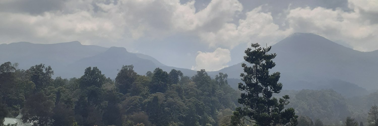 kumis__kucing's profile banner image