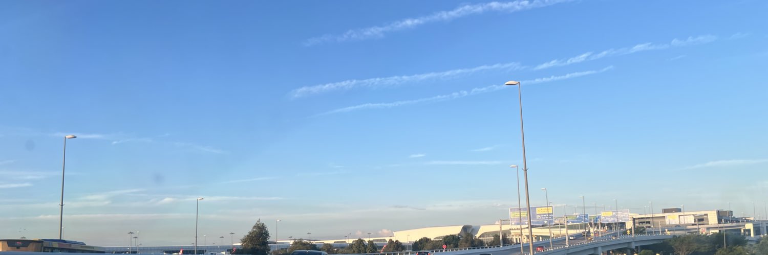 flmingmlbrry's profile banner image
