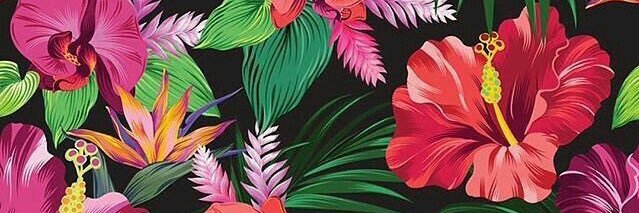 PepoLongboard's profile banner image
