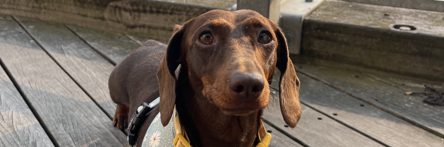 kirstechambers's profile banner image