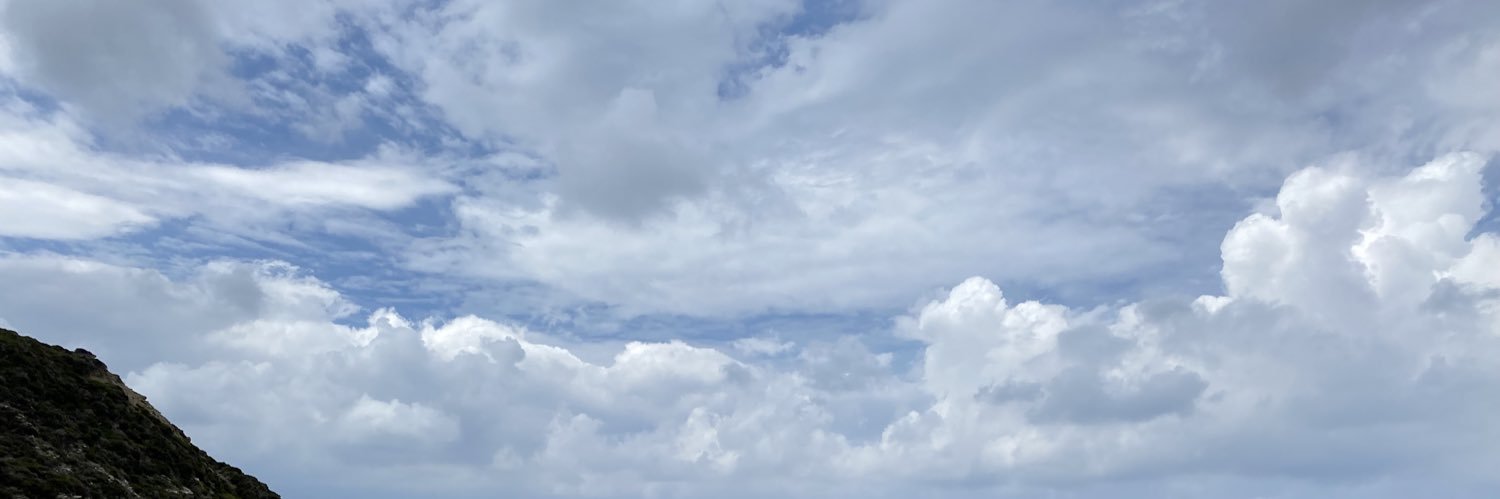 Joanna Gibson banner