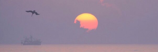 Susan Stewart Griffith banner