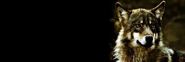 kadirdag25's profile banner image