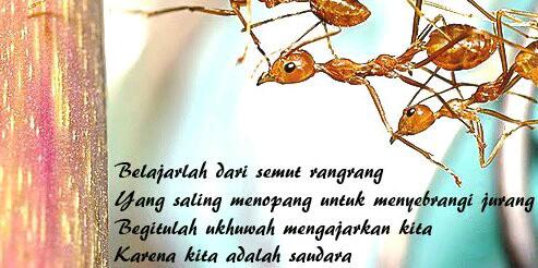 Rohis SMAN 101 banner