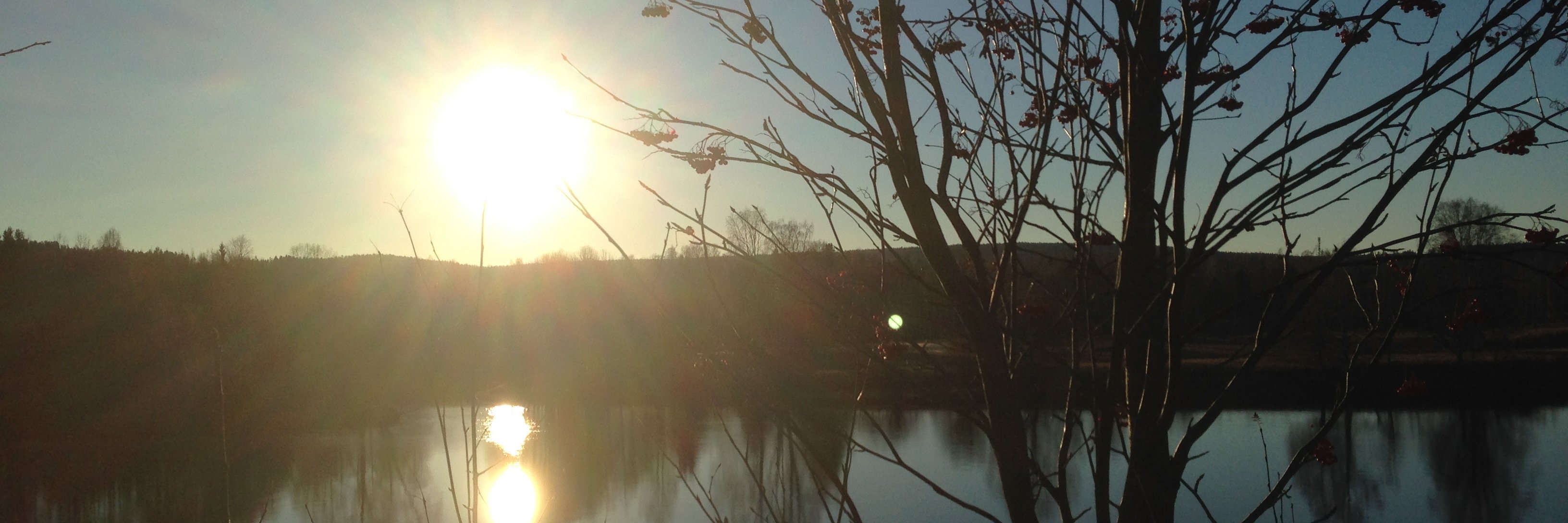 therese_isberg's profile banner image